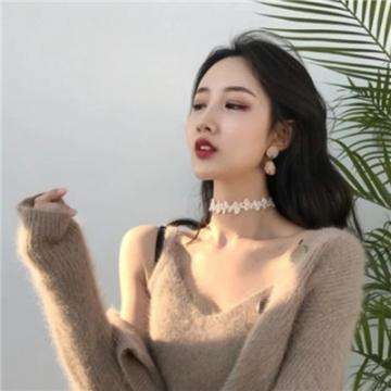 鹦鹉英雄中文破解版下载
